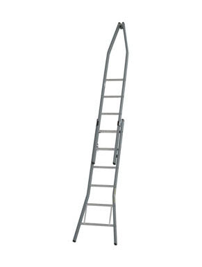 DIRKS Puntladder